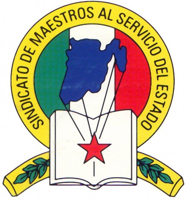 LOGO DEL SMSEM