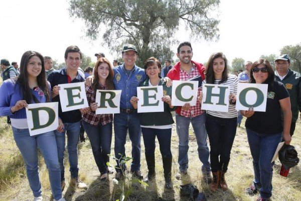 DISPOSICION PARA PROTEGER AL MEDIO JOG