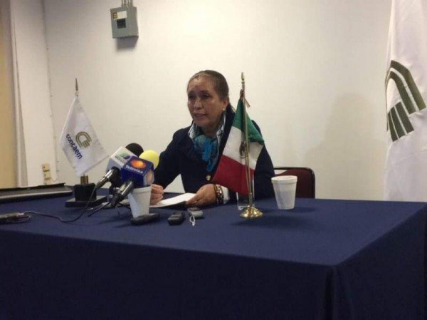 Lourdes Medina Ortega Concaem
