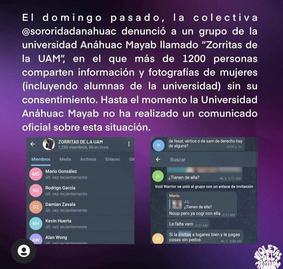 Exhiben chat “Zorritas de la UAM”; Universidad Anáhuac quiere identificar a  cerca de 1280 participantes - Diario Evolución