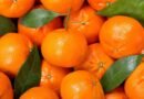 Precio de la mandarina se dispara; kilo alcanza los 49 pesos